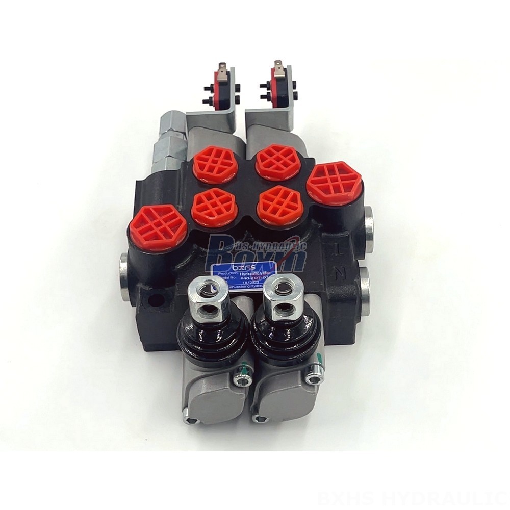 Competitive Pricing & Fast Delivery: Factory Direct Supply of P40 Micro Switch Valves detail image